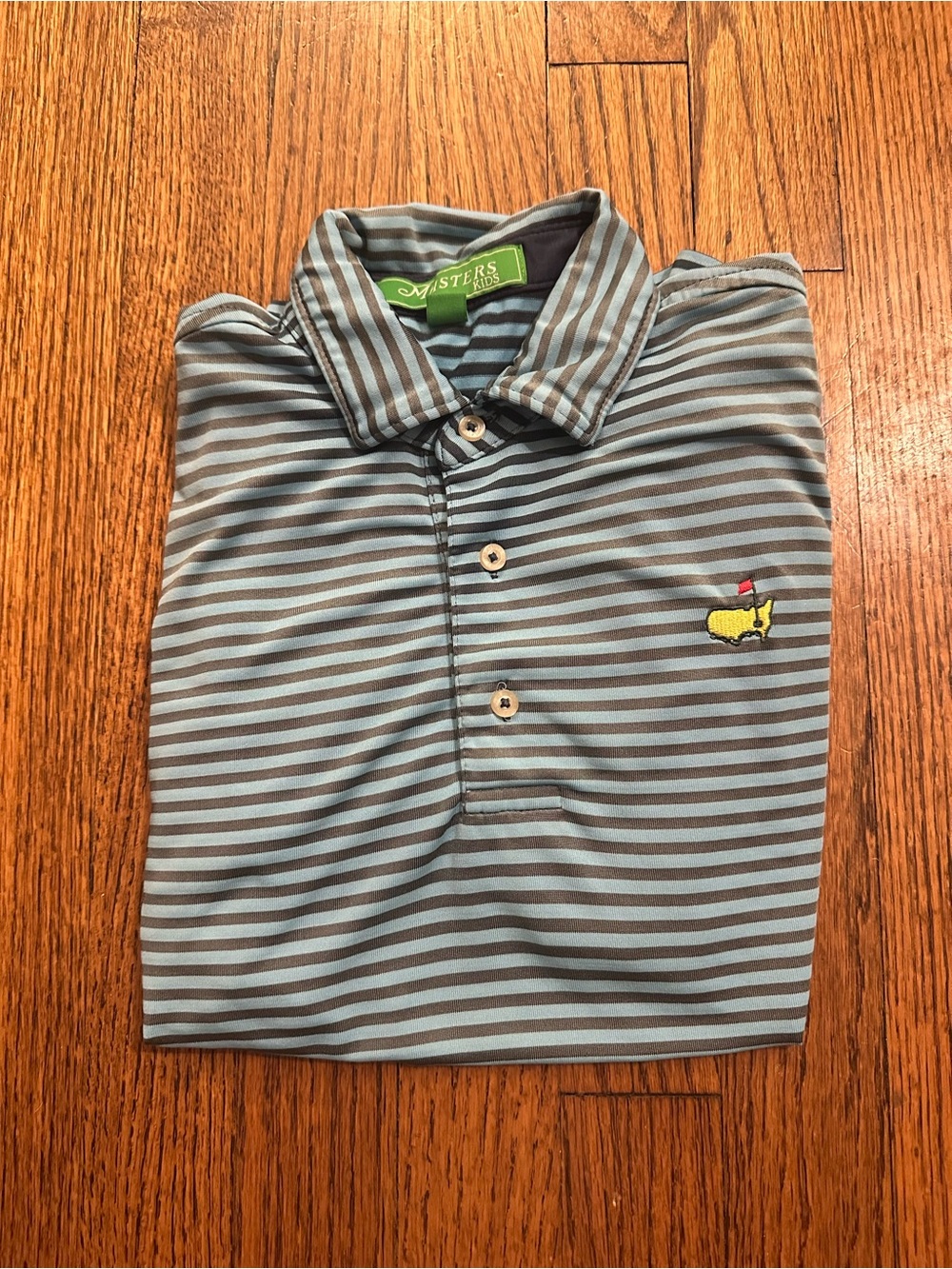 Masters Light Blue and Gray Striped Polo - Kids
